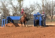 Working on Throwing Faster in Breakaway with Hali