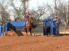 Working on Throwing Faster in Breakaway with Hali