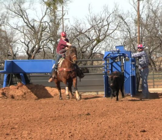 Working on Throwing Faster in Breakaway with Hali