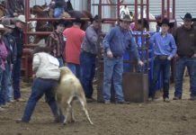 Feb 9 Hamilton Rodeo Hali and Gabe