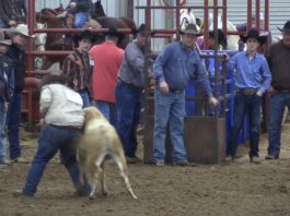Feb 9 Hamilton Rodeo Hali and Gabe