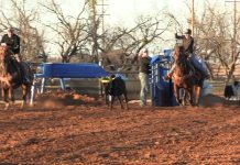 Feb 8 Rodeo Hamilton Gabe and Hali