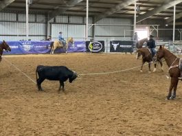 Gabe and Wesley 14 WSTR Heartland