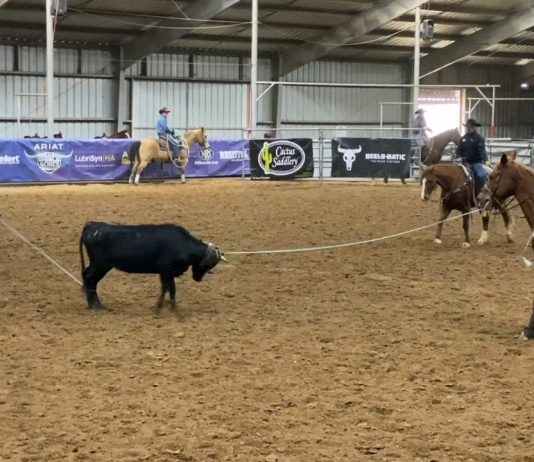 Gabe and Wesley 14 WSTR Heartland