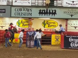 Hali runs at the Stockyards in Ft Worth