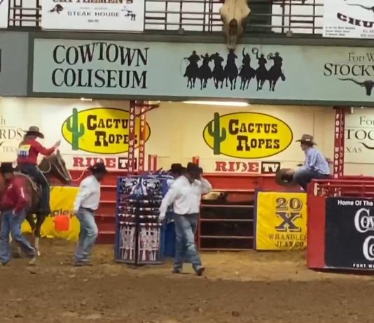 Hali runs at the Stockyards in Ft Worth