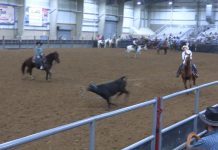Gabe Runs at San Antonio Rodeo  #11
