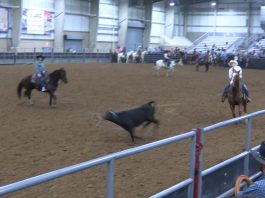 Gabe Runs at San Antonio Rodeo #11