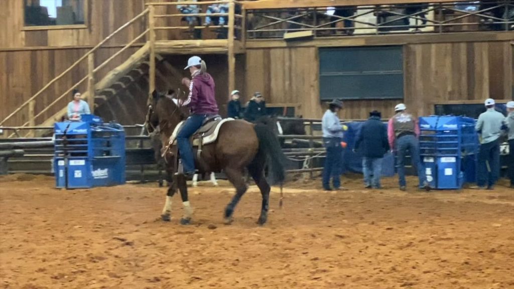 Hali’s Runs at Thrill Hill 2.12.20 Speed Roping