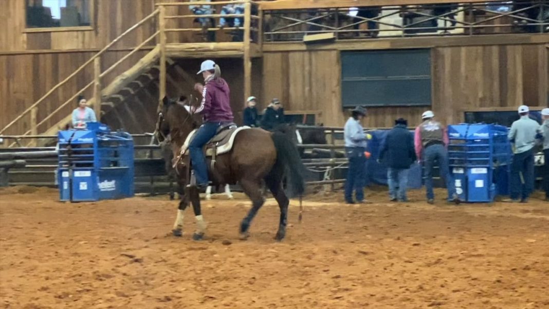 Hali’s Runs at Thrill Hill 2.12.20 Speed Roping
