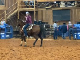 Hali’s Runs at Thrill Hill 2.12.20