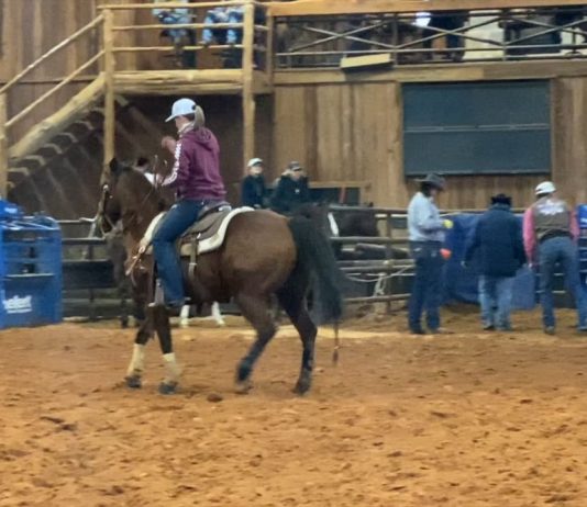 Hali’s Runs at Thrill Hill 2.12.20