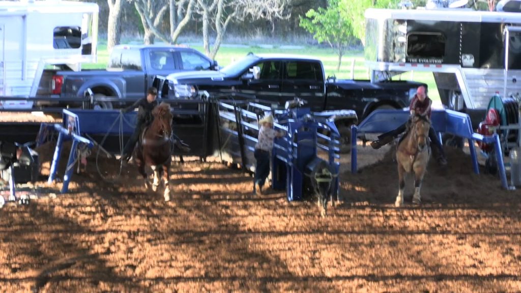 Sooner Moves Up to Practice Horse for Hali Speed Roping