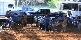 Sooner Moves Up to Practice Horse for Hali