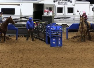 Working on Throwing Faster With Hali