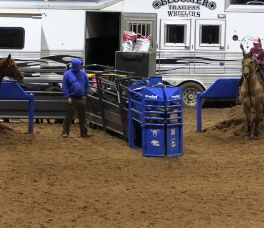 Working on Throwing Faster With Hali