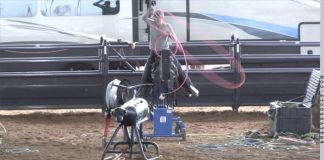 Working on Heeling Position with Gabriel