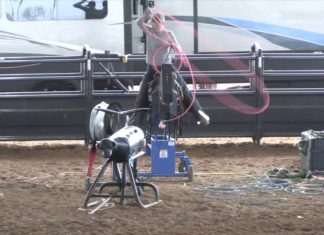 Working on Heeling Position with Gabriel