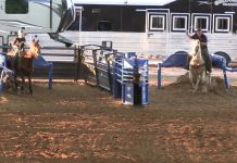 Speed and Gabe Working on Heeling Steers