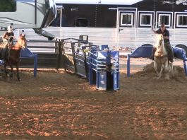 Speed and Gabe Working on Heeling Steers