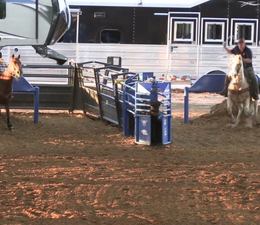Speed and Gabe Working on Heeling Steers