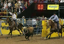 Breaking it Down – Transitioning from team roping to breakaway