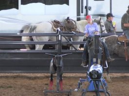 Speed Jade Corkill Denton Gabe Colby Caden Hali at the House