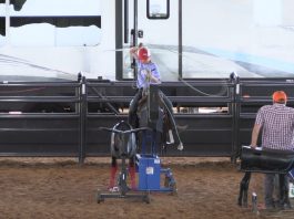 Speed Jade Corkill Denton Gabe Colby Caden Hali at the House