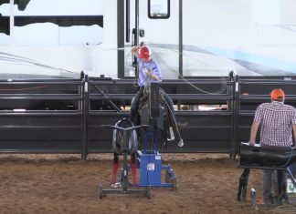 Speed Jade Corkill Denton Gabe Colby Caden Hali at the House