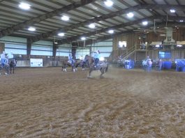 Hali Runs at Morgan Mill Breakaway