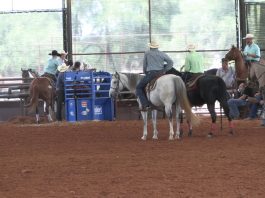 Hali and Gabe Runs 12 Wildwood Arena 10,000 Added
