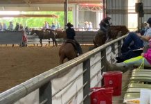 Gabe Runs at the Extreme Team Roping #12 #11 at Lonestar