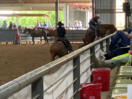 Gabe Runs at the Extreme Team Roping #12 #11 at Lonestar
