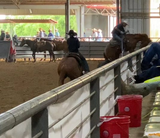 Gabe Runs at the Extreme Team Roping #12 #11 at Lonestar