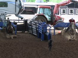 Gabe Wins 1 and 3 VIP Glen Rose