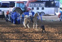 Rich Skelton at the House