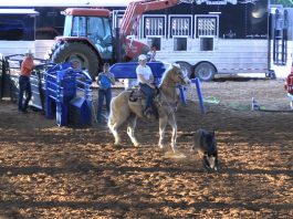 Rich Skelton at the House