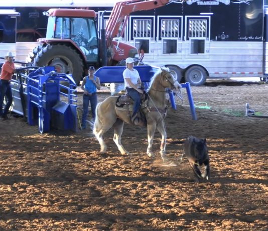 Rich Skelton at the House