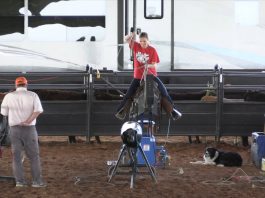 6 8 2020 Hali BAW Abilene High School State Finals