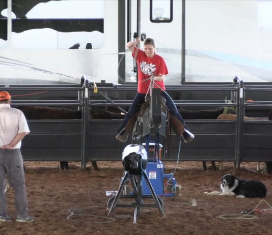 6 8 2020 Hali BAW Abilene High School State Finals