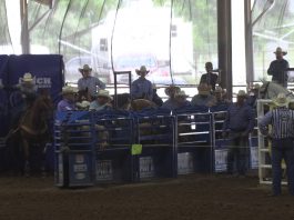 State Finals Short Round