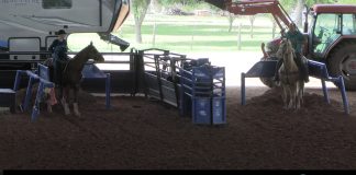 Gabe Runs at Roberston Hill on July 3 rd