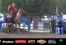 Speed and Hali Running some Breakaway Calves