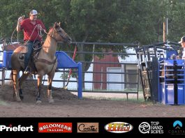 Speed and Hali Running some Breakaway Calves