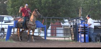Speed and Hali Running some Breakaway Calves
