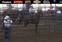 Hali and Gabe 2nd Rodeo 2020