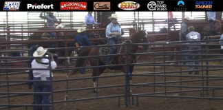 Hali and Gabe 2nd Rodeo 2020