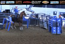 Hali and Gabe First Rodeo of 2020