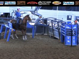 Hali and Gabe First Rodeo of 2020