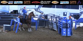 Hali and Gabe First Rodeo of 2020